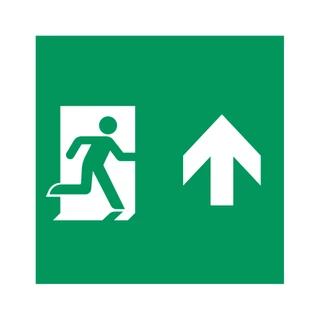 Фото #1 товара Пиктограмма EMGP-MARK-MA-UP (Человек, Вверх) (Arlight, Пластик)
