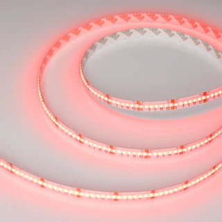 Фото #1 товара Светодиодная лента CSP-X840-12mm 24V RGBW-White (17.2 W/m, IP20, 5m) (Arlight, 5 лет)