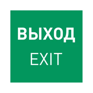 Фото #1 товара Пиктограмма EMGP-MARK-EXIT (Выход) (Arlight, Пластик)