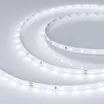Светодиодная лента RT-A60-8mm 24V Day5000 CRI98 (4.8 W/m, IP20, 2835, 5m) (Arlight, 4.8 Вт/м, IP20)