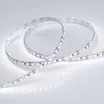 Светодиодная лента RT 2-5000 12V White6000 2x (3528, 600 LED, LUX) (Arlight, 9.6 Вт/м, IP20)