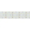 Светодиодная лента S2-A420-52mm 24V Day4000 (30 W/m, IP20, 2835, 2.5m) (Arlight, Открытый)