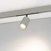 Светильник MAG-ORIENT-COLOR-SPOT-R45-10W Day4000 (RAL7044, 36 deg, 48V) (Arlight, IP20 Металл, 5 лет)