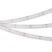 Светодиодная лента герметичная DOT-PFS-X160-10mm 24V Warm3000 (12 W/m, IP68, 5m) (Arlight, 5 лет)