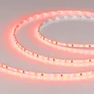 Светодиодная лента RT-A120-5mm 12V Red (9.6 W/m, IP20, 2835, 5m) (Arlight, 9.6 Вт/м, IP20)