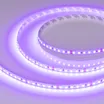 Светодиодная лента RT-A120-8mm 24V Violet (9.6 W/m, IP20, 2835, 5m) (Arlight, -)