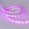 Светодиодная лента герметичная RTW-SE-B60-10mm 12V RGB (14.4 W/m, IP65, 5060, 5m) (Arlight, -)