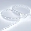 Светодиодная лента RT 2-5000 24V Cool 8K (3528, 300 LED, LUX) (Arlight, 4.8 Вт/м, IP20)