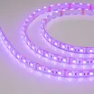 Светодиодная лента герметичная RTW-PU-B60-12.5mm 12V RGB (14.4 W/m, IP68, Wire 2m, 5m) (Arlight, -)
