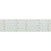 Светодиодная лента RT 2-2500 24V Day4000 5x2 (2835, 875 LED, CRI98) (Arlight, 36 Вт/м, IP20)