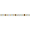 Светодиодная лента RTW 2-5000PW 12V White6000 2x (5060, 300 LED, LUX) (Arlight, 14.4 Вт/м, IP66)