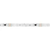Светодиодная лента SPI-B60-10mm 24V RGB-PX6-BPT (12 W/m, IP20, 5060, 5m) (Arlight, бегущий огонь)