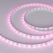 Светодиодная лента RT-A60-8mm 12V Pink (4.8 W/m, IP20, 2835, 5m) (Arlight, 4.8 Вт/м, IP20)