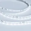 Светодиодная лента RT-20000 24V White6000 (3528, 60 LED/m, 20m) (Arlight, 4.8 Вт/м, IP20)