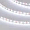 Светодиодная лента RZ-A120-6mm 12V Cool 8K (12 W/m, IP20, 2835, 5m) (Arlight, 12 Вт/м, IP20)