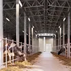 Светильник ALT-TUBU-L1500-48W Day5000 (WH, 140x110 deg, 230V) (Arlight, IP66 Пластик, 5 лет)