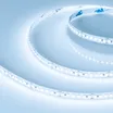 Светодиодная лента RT-A180-8mm 24V Cool 10K (14.4 W/m, IP20, 3528, 5m) (Arlight, Открытый)