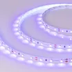 Светодиодная лента RT-A60-8mm 12V UV400 (4.8 W/m, IP20, 2835, 5m) (Arlight, Открытый)