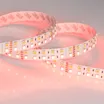 Светодиодная лента RT 2-5000 24V RGB-Day 2x2 (5060, 720 LED, LUX) (Arlight, 32 Вт/м, IP20)