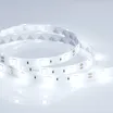 Светодиодная лента RTW 2-5000SE 12V Cool (5060, 150 LED, LUX) (Arlight, 7.2 Вт/м, IP65)