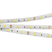 Светодиодная лента герметичная RTW-SE-B30-10mm 12V Day4000 (7.2 W/m, IP65, 5060, 5m) (Arlight, 7.2 Вт/м, IP65)