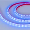 Светодиодная лента RTW 2-5000P 12V Blue (3528, 300 LED, LUX) (Arlight, 4.8 Вт/м, IP66)