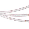 Светодиодная лента герметичная RTW-PFS-B60-13mm 24V RGB (14.4 W/m, IP68, 5060, 5m) (Arlight, 14.4 Вт/м, IP68)