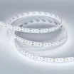 Светодиодная лента MICROLED-M300-10mm 24V White6000 (21.6 W/m, IP20, 2216, 5m) (Arlight, Открытый)