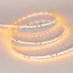 Светодиодная лента RT-A120-5mm 24V Yellow (9.6 W/m, IP20, 2835, 5m) (Arlight, узкая)