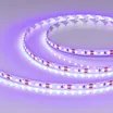 Светодиодная лента RT-A120-8mm 12V UV400 (9.6 W/m, IP20, 2835, 5m) (Arlight, Открытый)