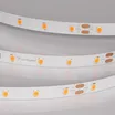 Светодиодная лента RT-A60-8mm 24V Carrot (4.8 W/m, IP20, 5m) (Arlight, -)