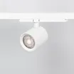 Сетчатый фильтр с посадочным кольцом LGD-NIKA-HCR-R100 (WH-BK) (Arlight, Металл)