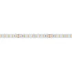 Светодиодная лента RTW-5000SC 24V Warm SP2900-Meat 10mm (2835, 112 LED/m, SHOP) (Arlight, Открытый)