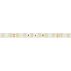 Светодиодная лента RT-B60-10mm 24V Warm3000 (14.4 W/m, IP20, 5m) (Arlight, Открытый)