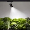 Светильник LGD-GERA-4TR-R74-20W Day SP5000-Veg (Белый, 24 deg, 230V) (Arlight, IP20 Металл, 5 лет)