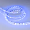 Светодиодная лента RT-B60-10mm 24V Blue (14.4 W/m, IP20, 5m) (Arlight, Открытый)