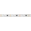 Светодиодная лента герметичная SPI-PFS-B60-12mm 12V RGB-PX3-BPT (12 W/m, IP68, 5060, 5m) (Arlight, бегущий огонь)