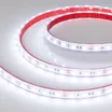 Светодиодная лента RTW 2-5000PS 12V Cool 8K 2x (5060, 300 LED, LUX) (Arlight, 14.4 Вт/м, IP67)