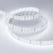 Светодиодная лента RT 2-5000 24V White6000 2x2 (2835, 980 LED, LUX) (Arlight, 20 Вт/м, IP20)