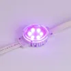 Модуль управляемый SPI-F6-D40 24V RGB-RAM-Auto (1.25W, IP68, 120 deg) (Arlight, Пластик, 3 года)