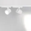 Светильник LGD-NIKA-4TR-R100-20W Day4000 (WH, 24 deg, 230V) (Arlight, IP20 Металл, 5 лет)