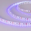 Светодиодная лента RT-A120-8mm 12V UV400 (9.6 W/m, IP20, 2835, 5m) (Arlight, Открытый)