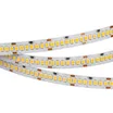 Светодиодная лента RT 2-5000 24V White6000 10mm (2835, 252 LED/m, LUX) (Arlight, 10 Вт/м, IP20)