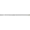 Светодиодная лента RT-50000 48V Day4000 (3528, 78 LED/m, 50m) (Arlight, 4 Вт/м, IP20)