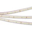 Светодиодная лента герметичная RTW-PS-A160-10mm 24V Day5000 (12 W/m, IP67, 2835, 5m) (Arlight, 12 Вт/м, IP67)