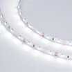 Светодиодная лента RT 2-5000 12V White6000 (3528, 300 LED, LUX) (Arlight, 4.8 Вт/м, IP20)