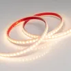 Светодиодная лента RTW 2-5000PW 24V Warm2700 2x (3528, 600 LED, LUX) (Arlight, 9.6 Вт/м, IP66)