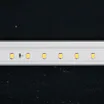 Светодиодная лента RT 2-5000 24V Day5000 (2835, 80 LED/m, LUX) (Arlight, 6 Вт/м, IP20)