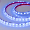 Светодиодная лента RTW 2-5000PGS 12V Blue 2x (5060, 300 LED, LUX) (Arlight, 14.4 Вт/м, IP67)
