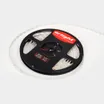Светодиодная лента RT 2-5000 24V White6000 1.6x (2835, 490 LED, PRO) (Arlight, 10 Вт/м, IP20)